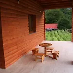 Bujtina Dreni Theth