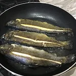 Gæstehus Bujtina Dreni