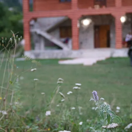 Bujtina Dreni Casa de hóspedes 3*