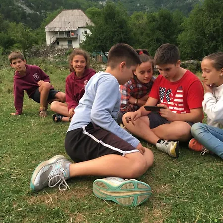 Bujtina Dreni 3*