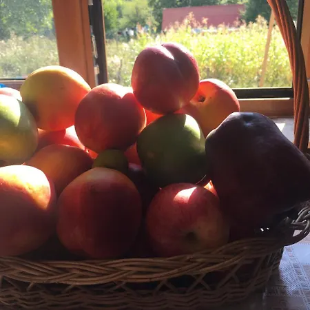 Casa de hóspedes Bujtina Dreni 3*