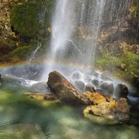 Bujtina Dreni 3* テス