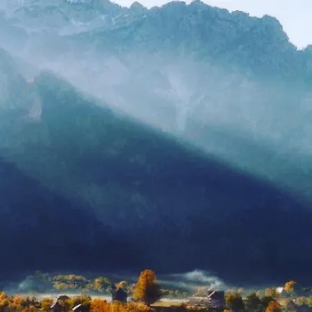 Casa de hóspedes Bujtina Dreni Theth