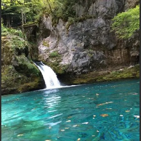 Pensionat Bujtina Dreni