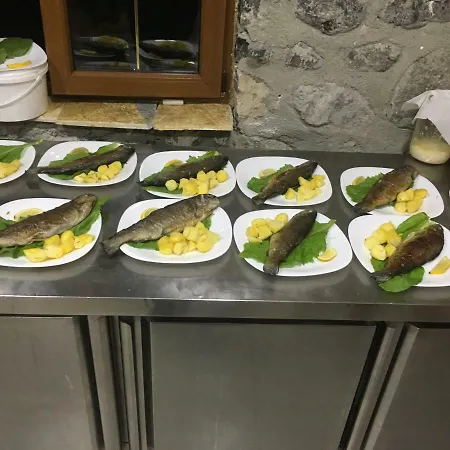 Bujtina Dreni Casa de hóspedes 3*