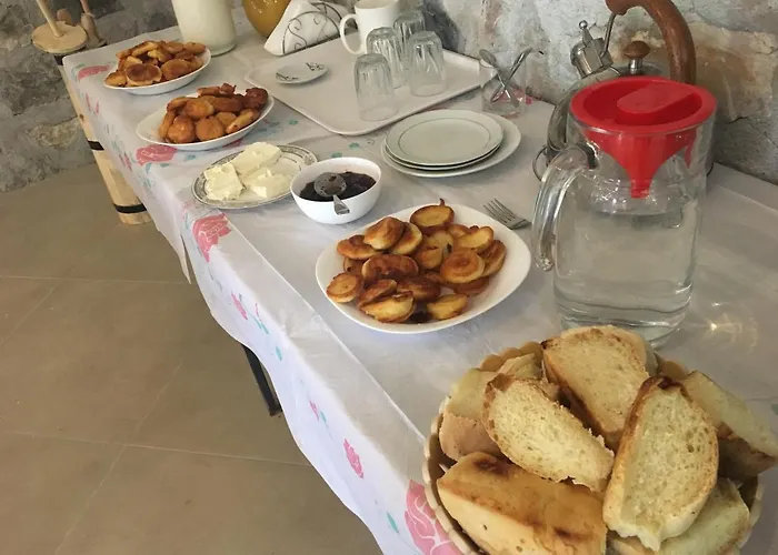 Bujtina Dreni