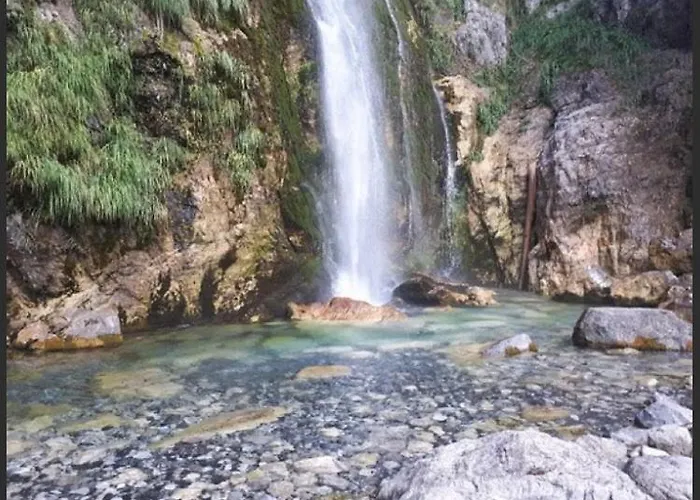 Bujtina Dreni