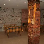 Bujtina Dreni 3*