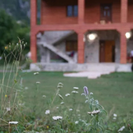 Bujtina Dreni ثيث