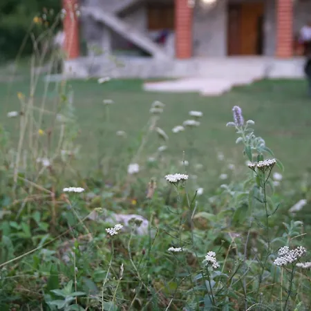 Bujtina Dreni 3* ثيث