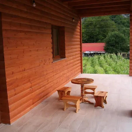 Bujtina Dreni ثيث