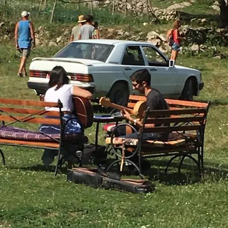 Bujtina Dreni ثيث