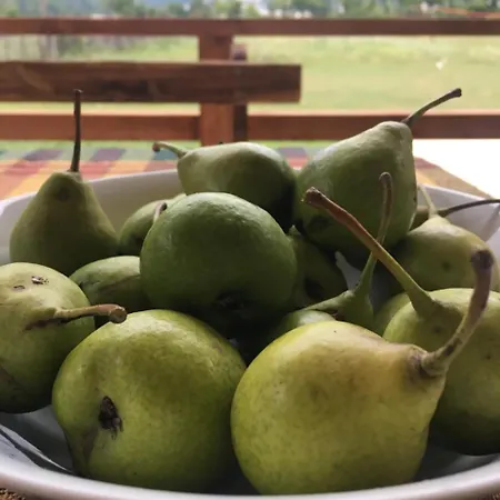 Pensionat Bujtina Dreni 3*