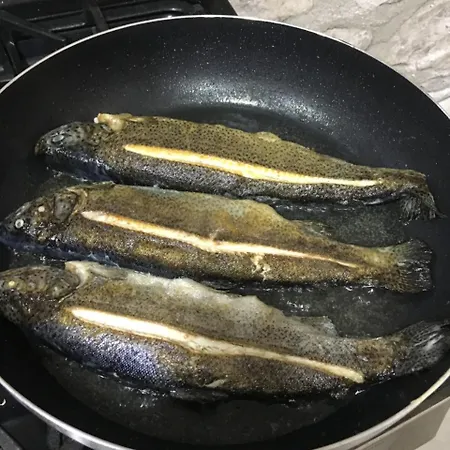 بيت ضيافة Bujtina Dreni