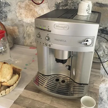 Bujtina Dreni 3*