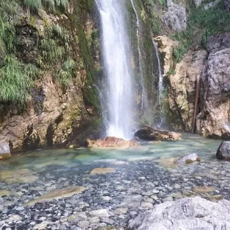 Bujtina Dreni