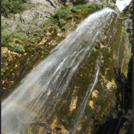 Bujtina Dreni Πανσιόν Theth