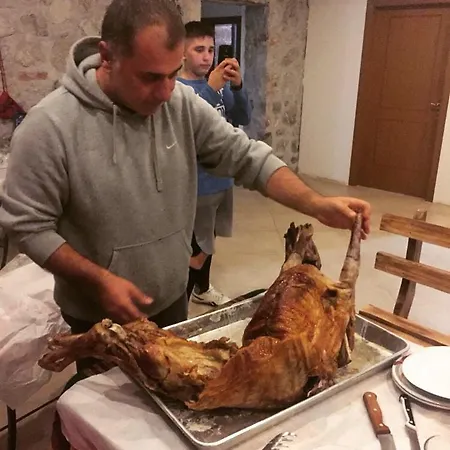 Bujtina Dreni ثيث