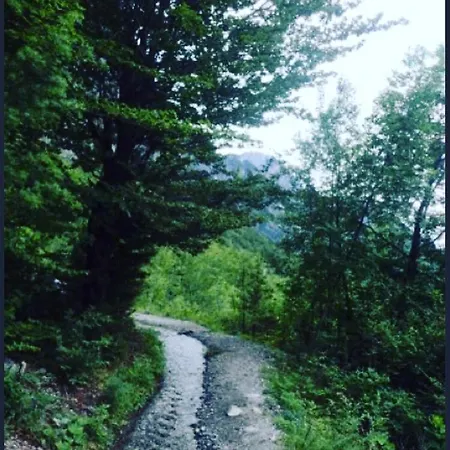 Bujtina Dreni 3*