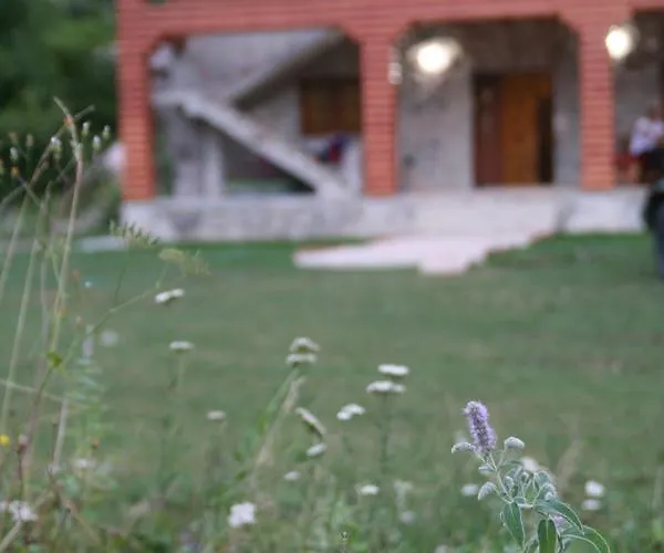 Bujtina Dreni Πανσιόν 3*