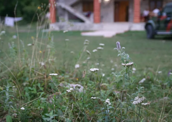 Bujtina Dreni 3* Theth