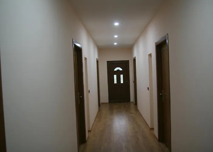 Πανσιόν Bujtina Dreni Theth