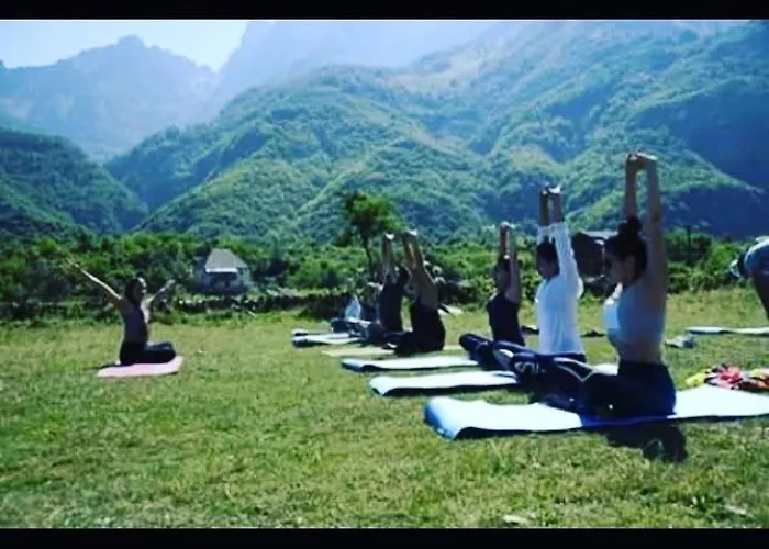 Bujtina Dreni Πανσιόν Theth