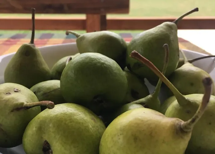 Πανσιόν Bujtina Dreni 3*