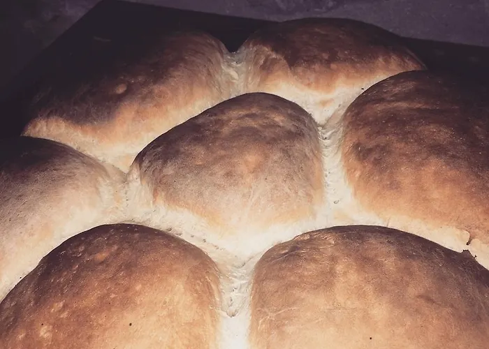 Πανσιόν Bujtina Dreni 3*