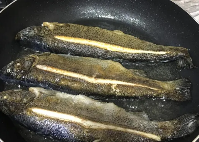 Πανσιόν Bujtina Dreni