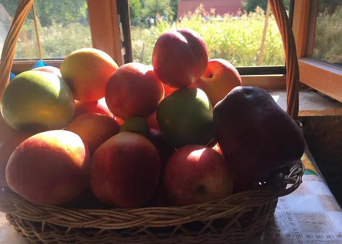 招待所 Bujtina Dreni 3*