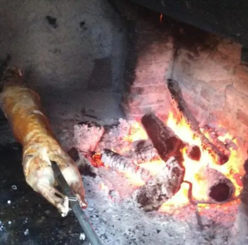 Bujtina Dreni Πανσιόν