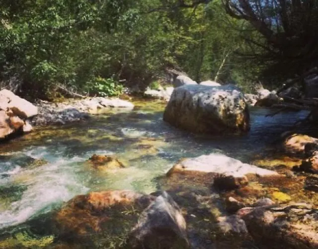 Πανσιόν Bujtina Dreni 3*