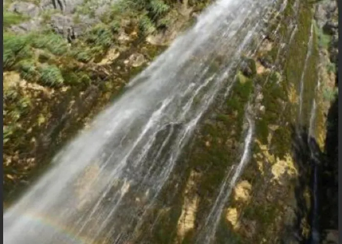 Bujtina Dreni Πανσιόν Theth