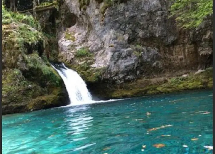 Πανσιόν Bujtina Dreni