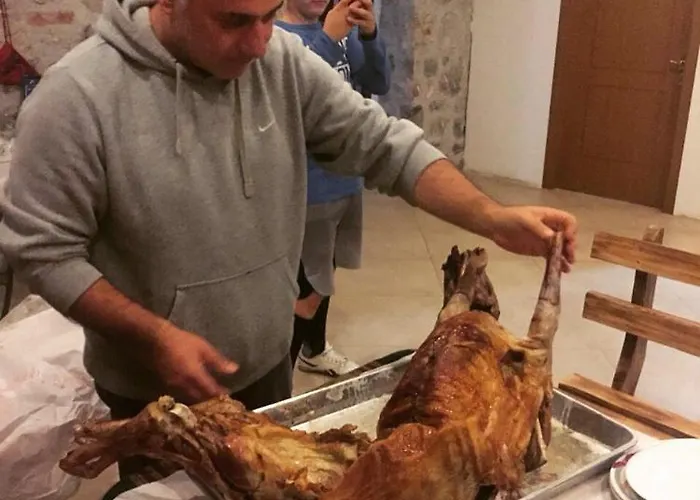 Bujtina Dreni 泰斯