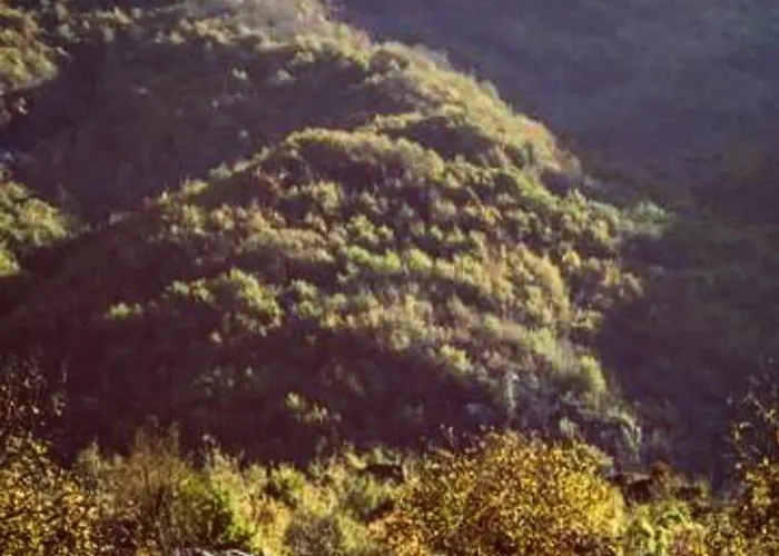 Πανσιόν Bujtina Dreni Theth